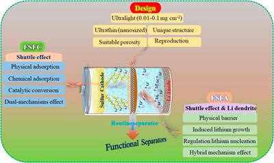 Functionally Modified Polyolefin-Based Separators for Lithium-Sulfur Batteries: Progress and Prospects